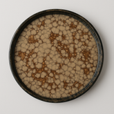 Handmade Ceramic Plate with Crackled Glaze – Tan & Brown